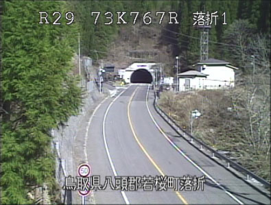 参考画像