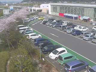 参考画像