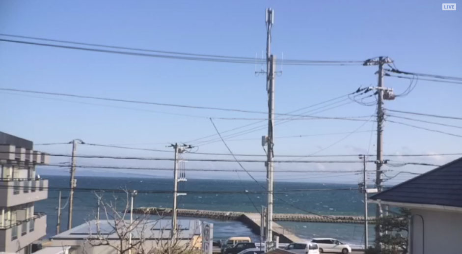 参考画像