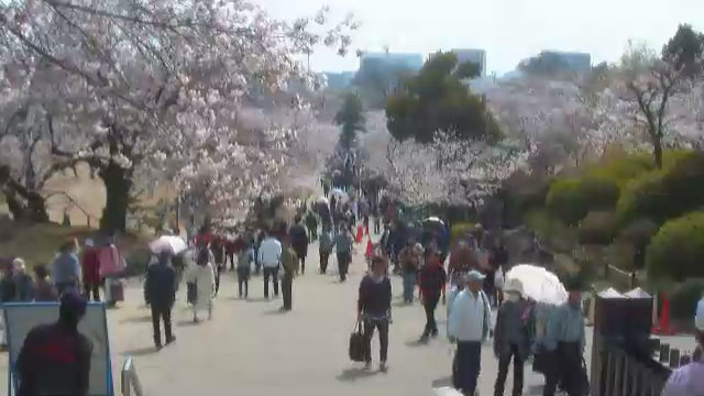 参考画像