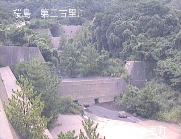 参考画像