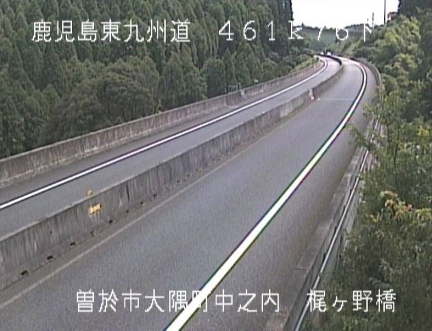 参考画像