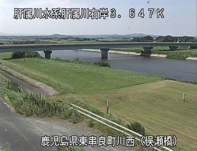 参考画像
