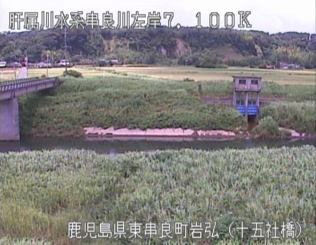 参考画像