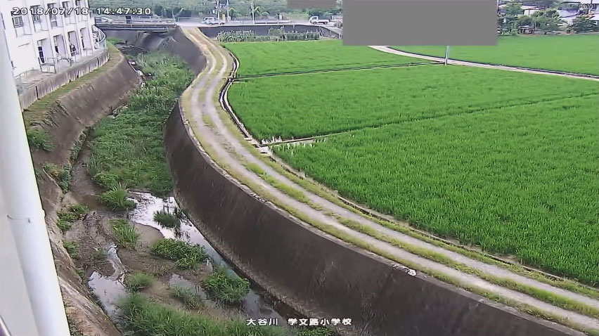 参考画像