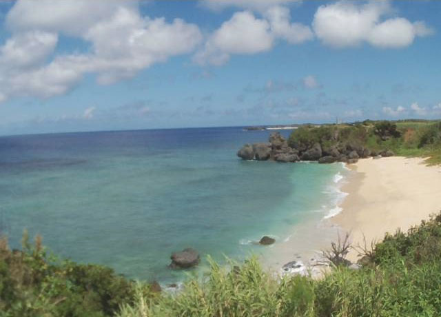 参考画像