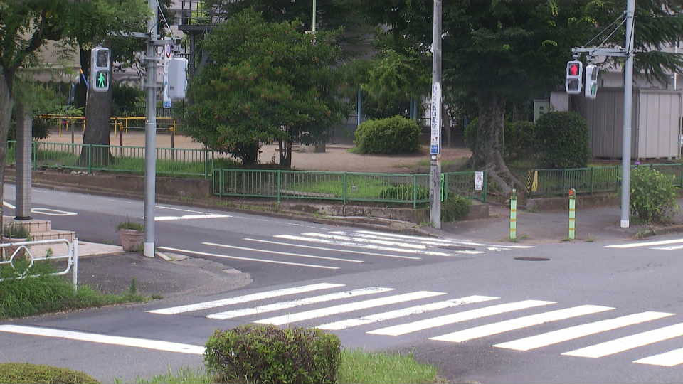 参考画像