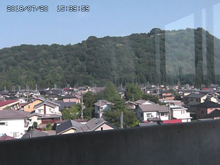参考画像