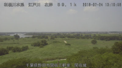 参考画像