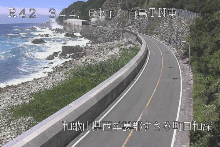 参考画像