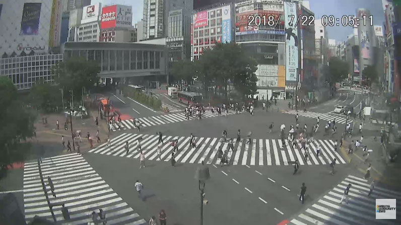 参考画像