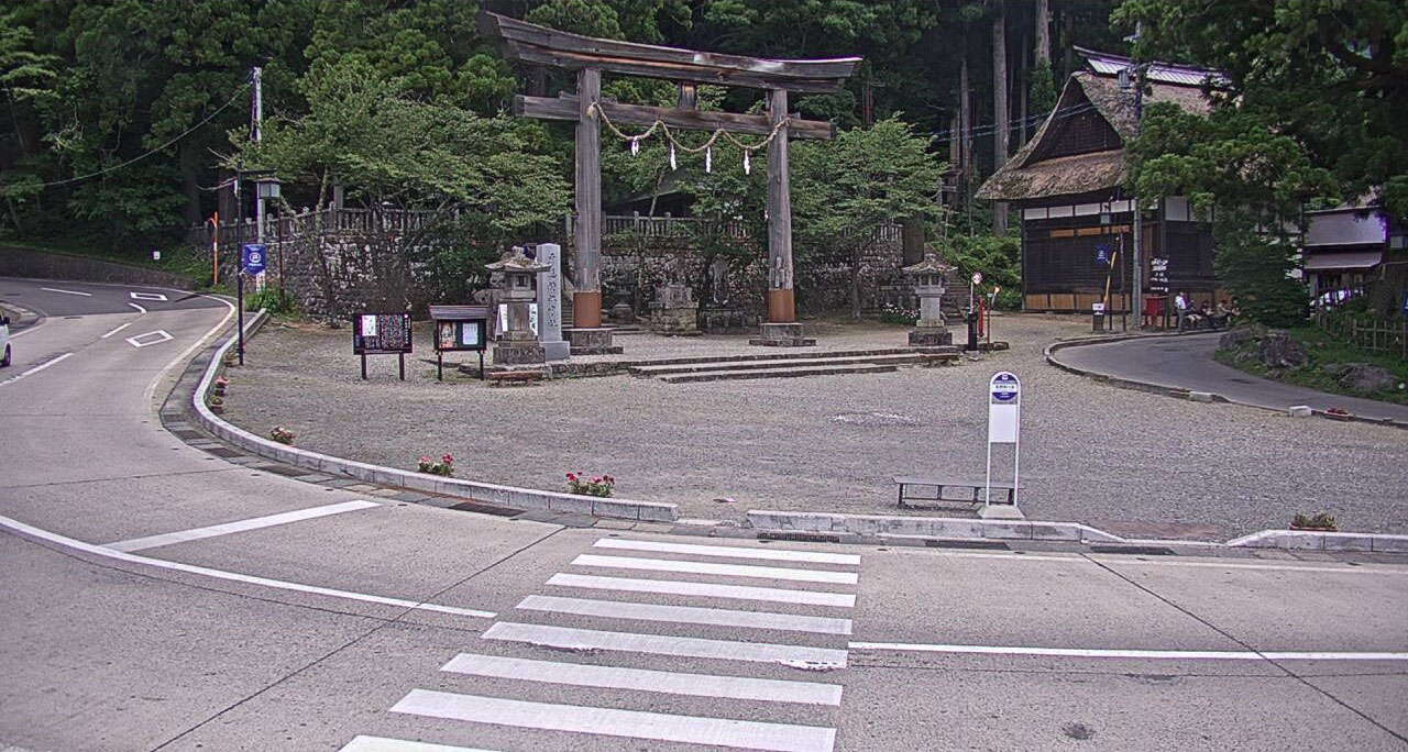 参考画像