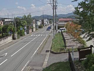 参考画像