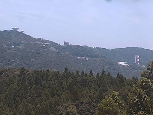参考画像