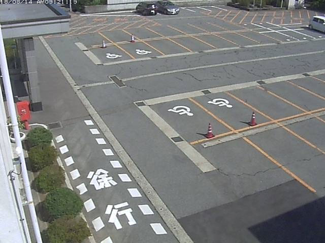 参考画像