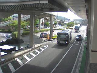 参考画像
