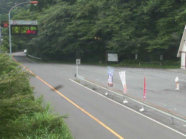参考画像