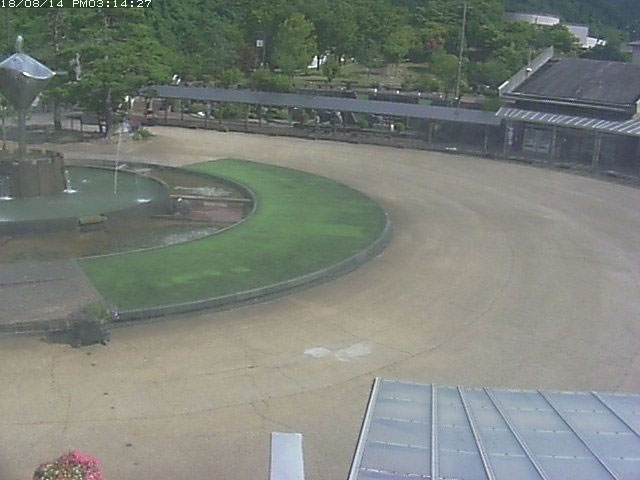 参考画像