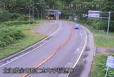 参考画像