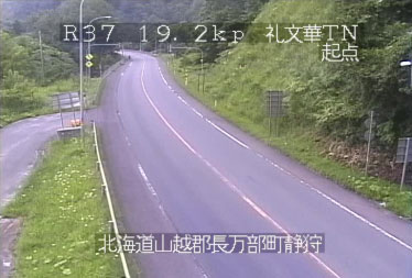 参考画像