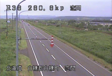 参考画像