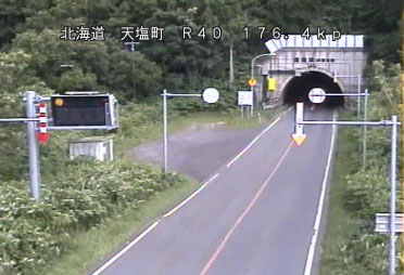 参考画像