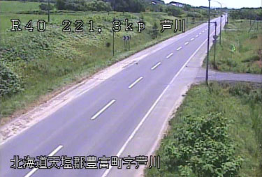 参考画像