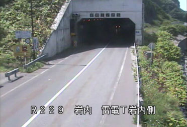 参考画像