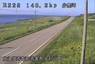 参考画像