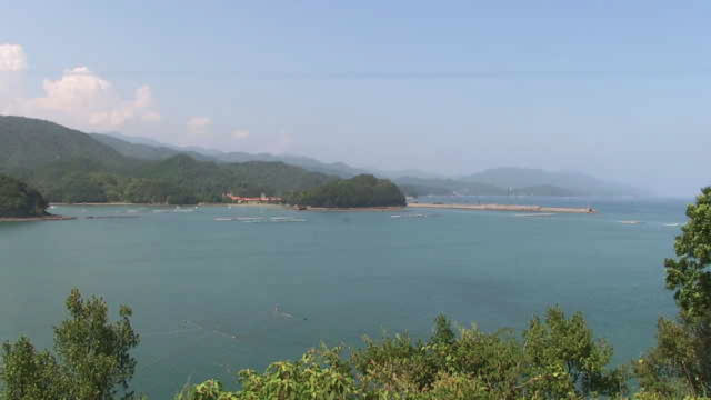 参考画像