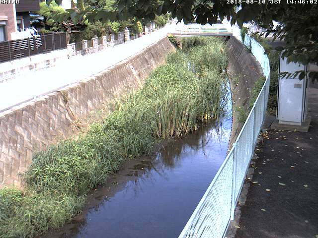 参考画像