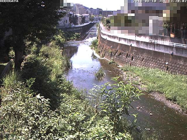 参考画像