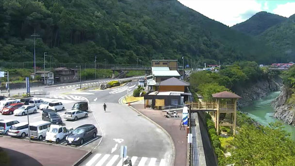 参考画像