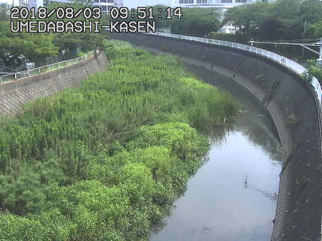 参考画像