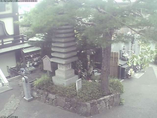 参考画像
