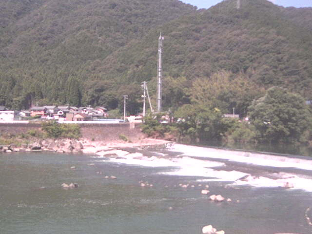 参考画像