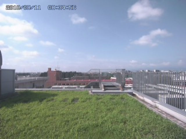 参考画像