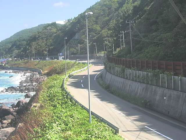 参考画像