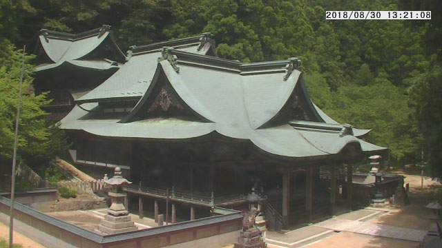 参考画像