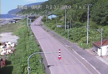参考画像