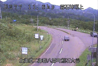 参考画像