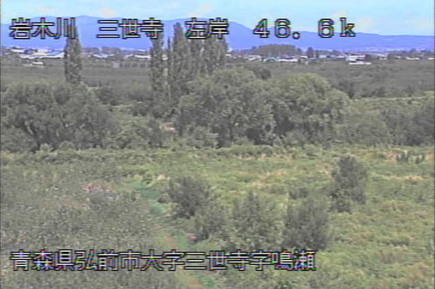 参考画像