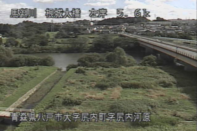 参考画像