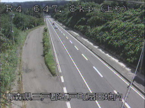 参考画像