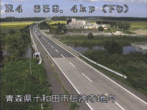 参考画像