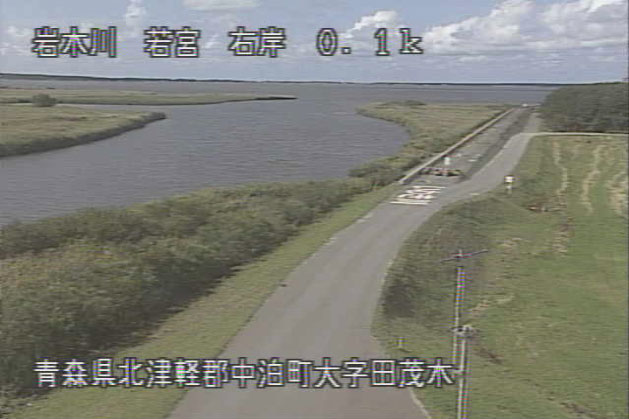 参考画像