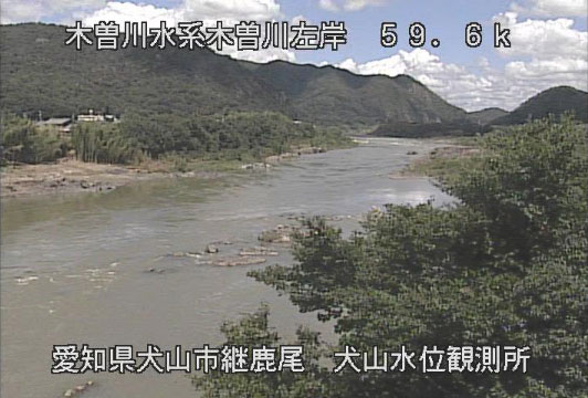 参考画像