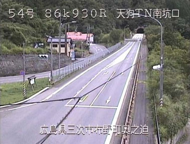 参考画像