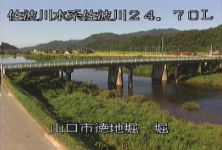 参考画像