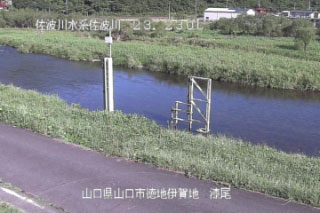 参考画像